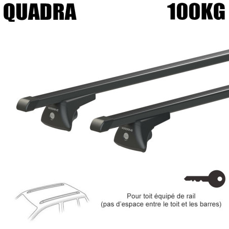 Barres acier pour Opel Insignia Sports Tourer 2020 à 2022. Fixation sur Rails