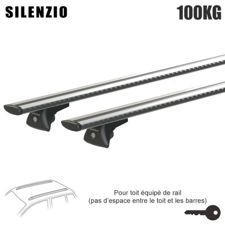 Barres aluminium pour Opel Insignia Sports Tourer 2020 à 2022. Fixation sur Rails