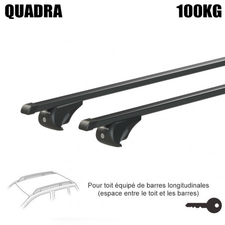 Barres acier pour Seat Alhambra Tous Types 2000 à 2010.Fixation sur barres longitudinales