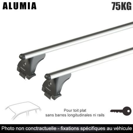 Coffre de toit Marlin 480 Litres GRIS et barres de toit Fiat Grande Punto 3 portes Sans toit ouvrant 2005 à 2012