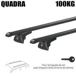 Barres acier pour Bmw X5...